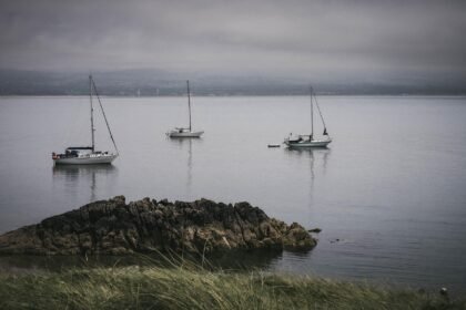 Spotlight on Up-and-Coming Islands for Residential Development