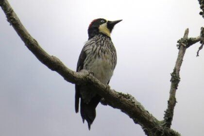 Investment Strategies for American Industrial Parks in 2023