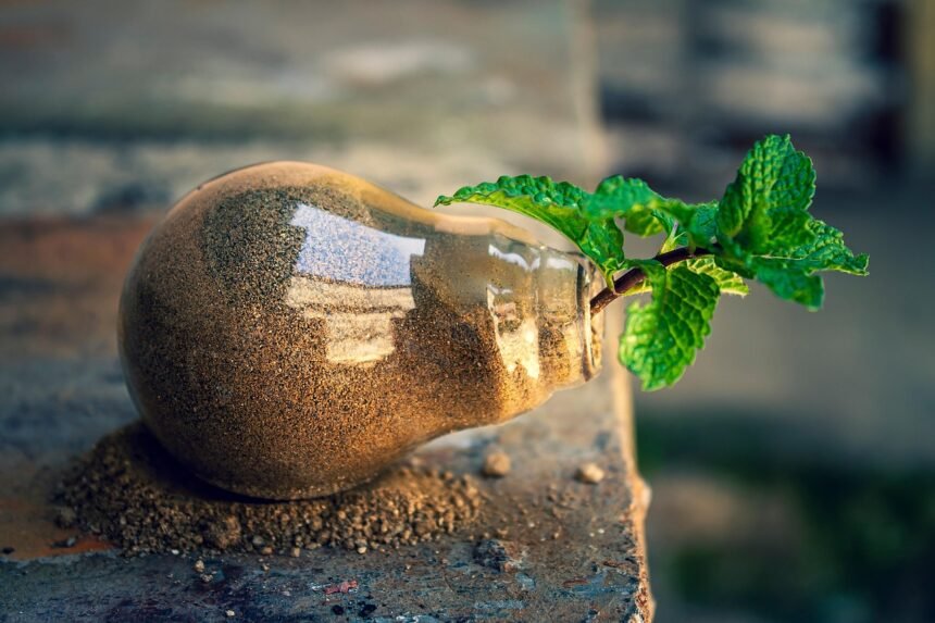 Innovations in Clean Energy Make U.S. Islands Leaders in Sustainability