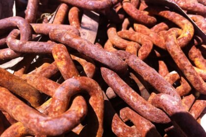 The Shifting Landscape of Logistics Real Estate: Insights into Automation Trends