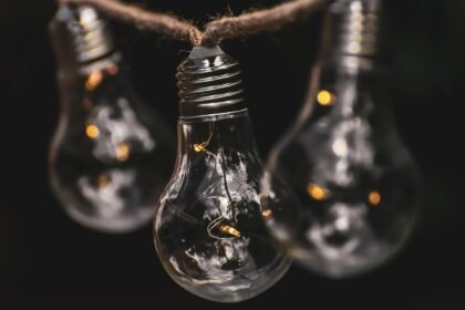 Island Innovations: Sustainable Architecture in Coastal America