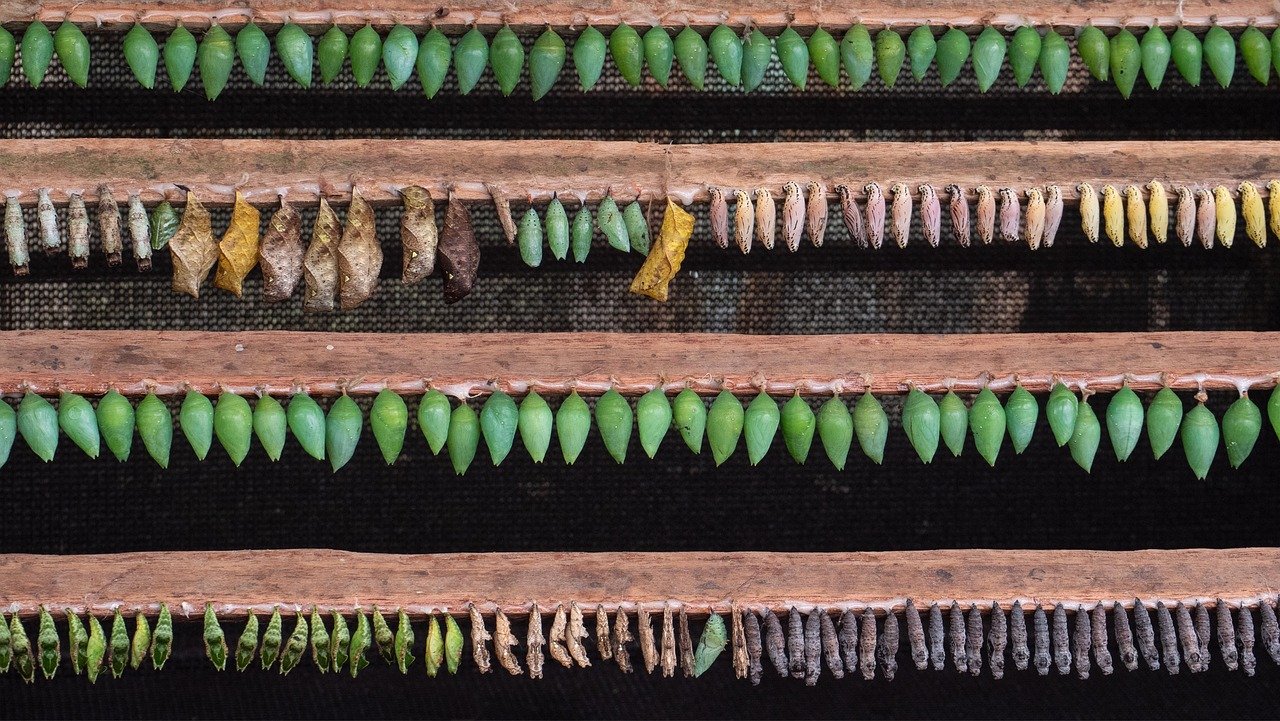 Key Challenges Facing American Island Construction Projects