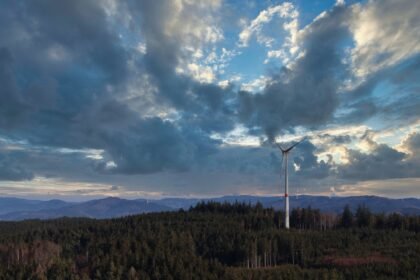 Eco-Friendly Island Real Estate: Market Insights and Trends