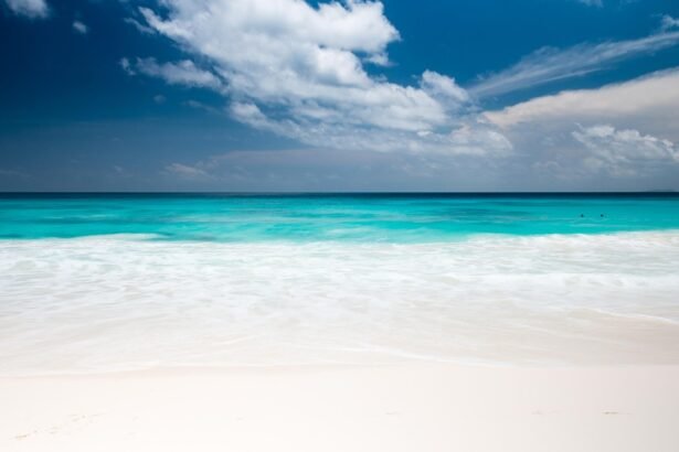 Investing in Paradise: Real Estate Trends in Eco-Friendly Island Resorts