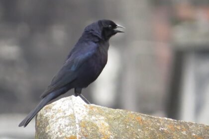 Industrial Property Trends in Emerging Manufacturing Hubs