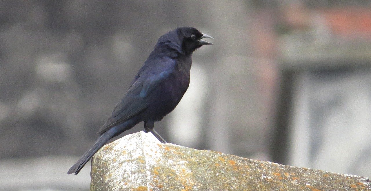 Industrial Property Trends in Emerging Manufacturing Hubs