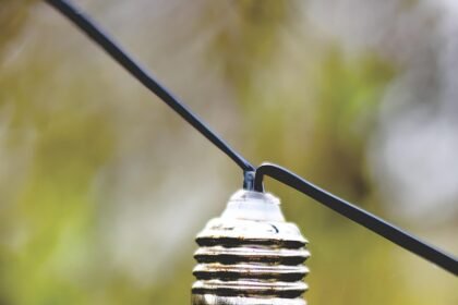 Eco-Friendly Island Development: The Rise of Green Communities