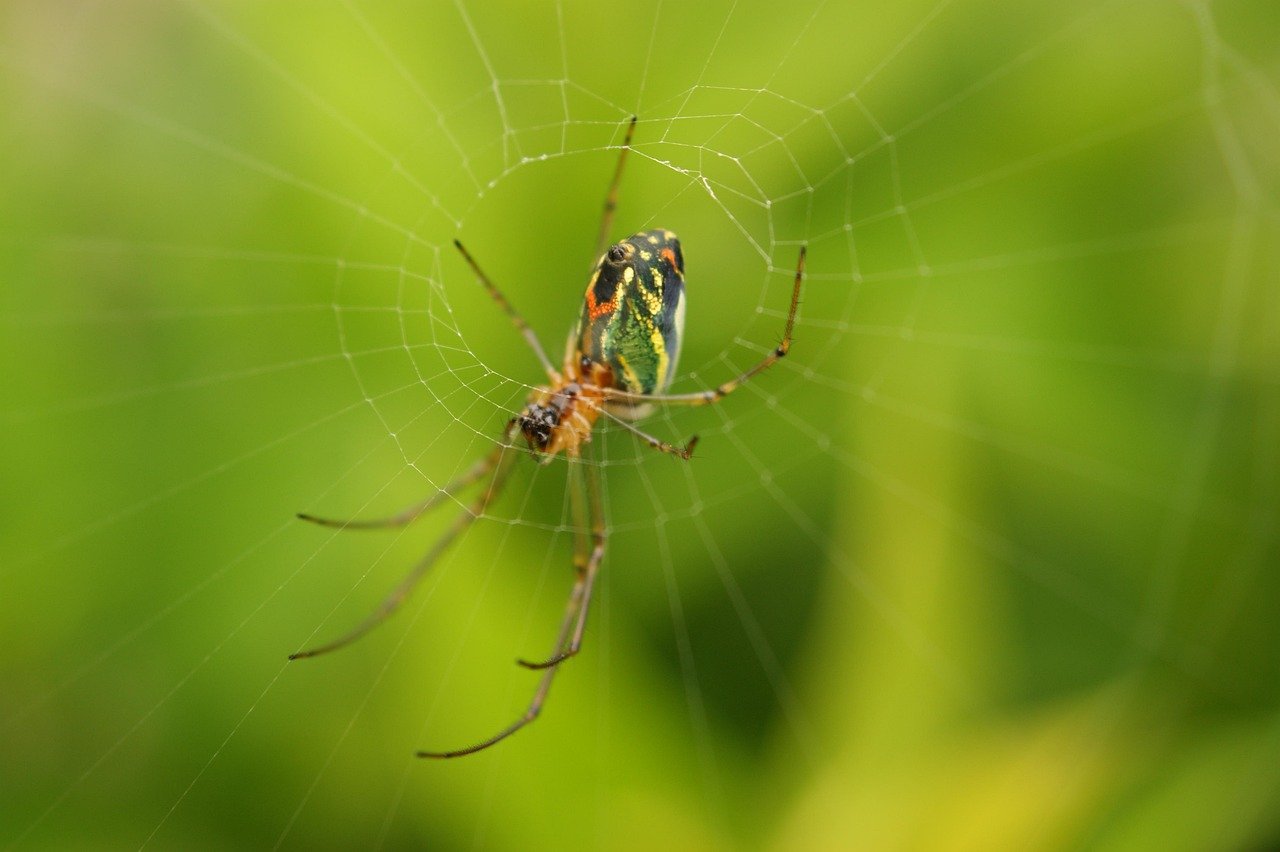 The Rise of Advanced Manufacturing Facilities in the USA