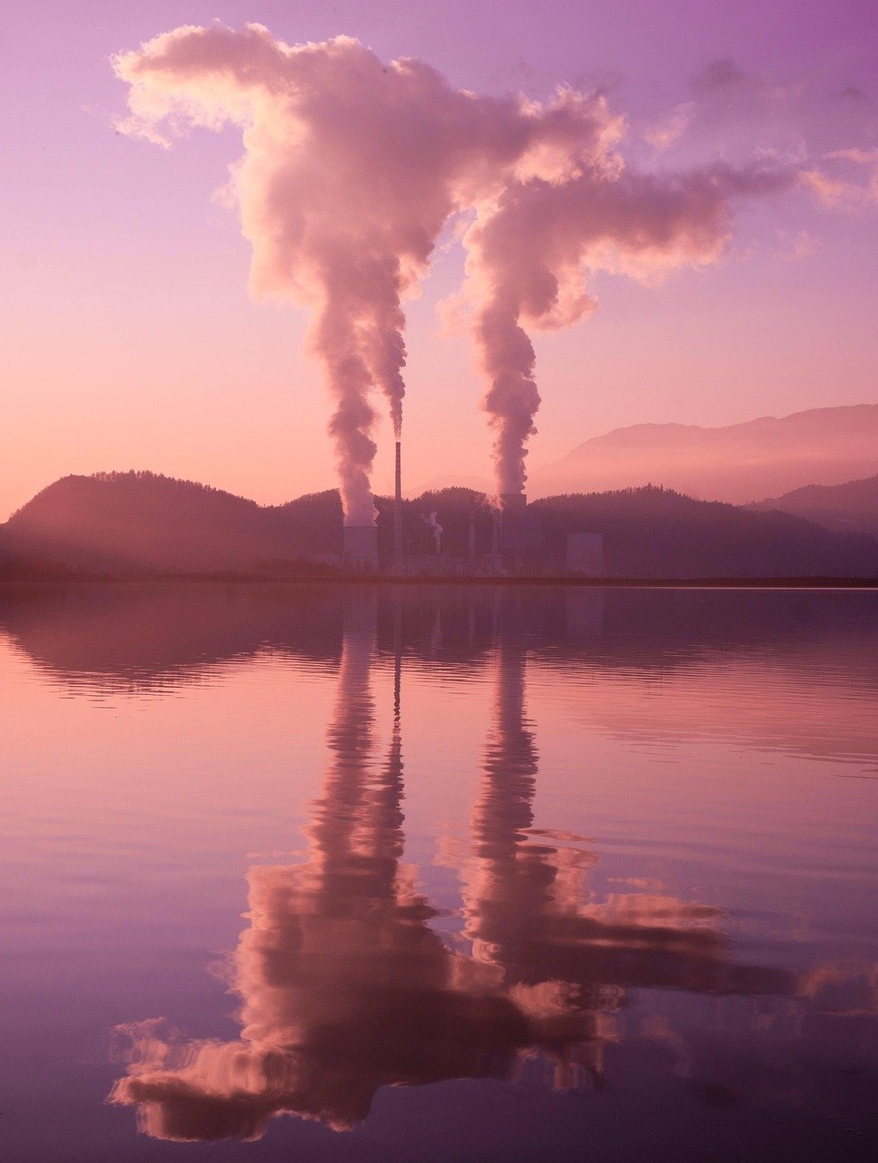 Exploring the Rise of Cold Storage Facilities in Warehousing