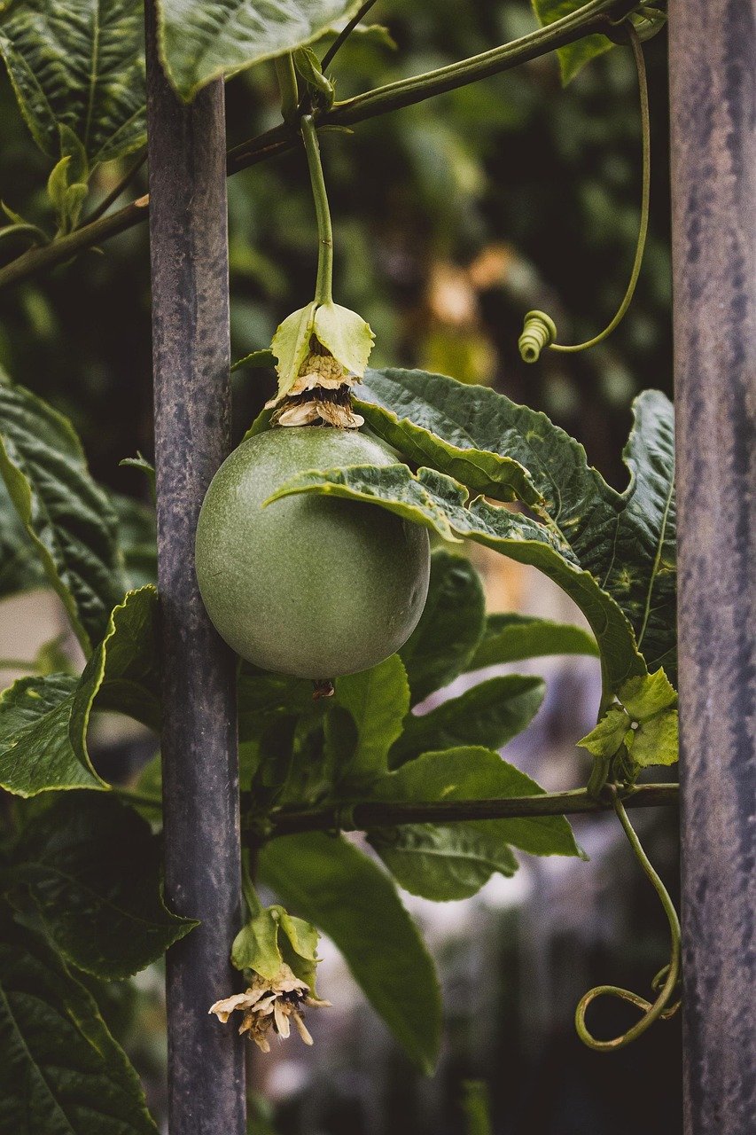 Blueprints for a Greener Future: Sustainable Building Practices in Island Developments