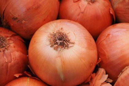 Mortgage Rates Hit Historic Lows: What This Means for Homebuyers