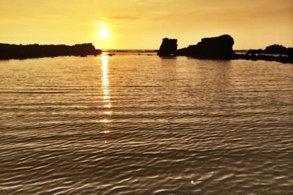 The Art Scene on American Islands: Vibrant Expressions of Local Culture