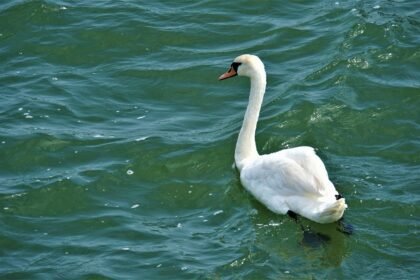 The Future of Island Living: Predictions for US Waterfront Property Markets