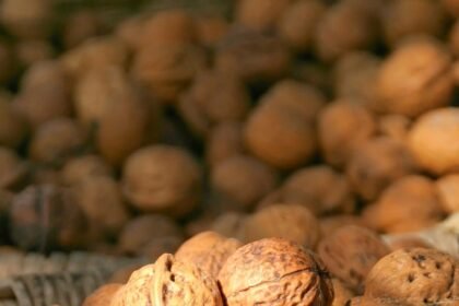 Selling Property in a Seller's Market: Key Tactics