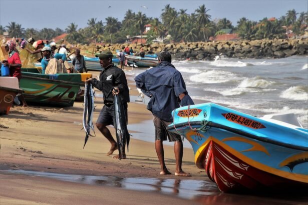 Cultural Exchange: How US Islands Embrace Diversity