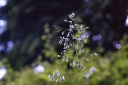 Building for the Future: Sustainable Practices in America's Coastal Properties