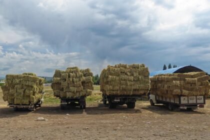 Investment Opportunities in Retail Warehouses and Distribution Centers