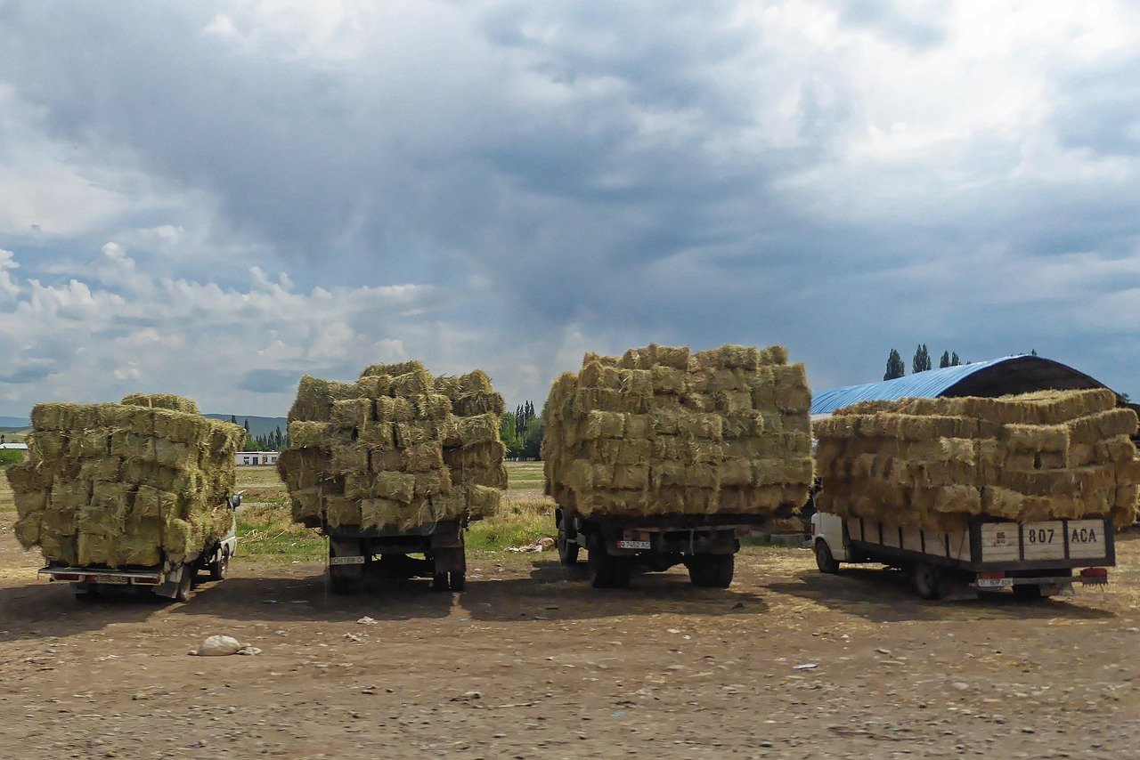 Investment Opportunities in Retail Warehouses and Distribution Centers