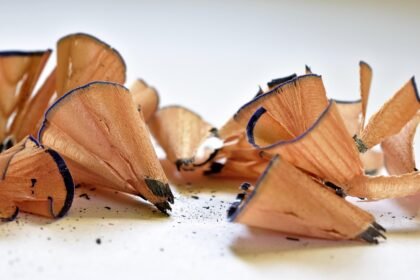 How Remote Work is Shaping the Future of Office Leasing