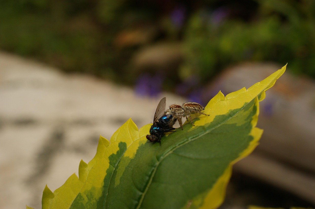 The Future of Industrial Real Estate: Insights from Leading Manufacturing Regions