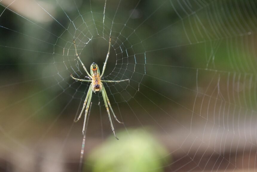 How Large Scale Developments Are Shaping the Industrial Landscape