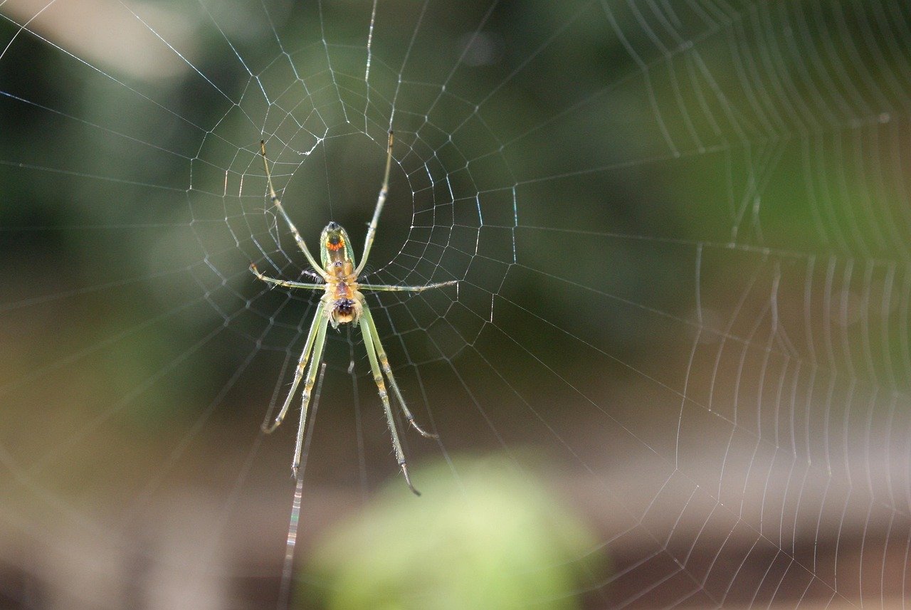 How Large Scale Developments Are Shaping the Industrial Landscape