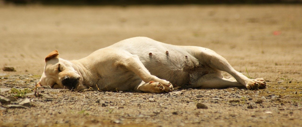 The Resurgence of American Industrial Parks: Investment Insights