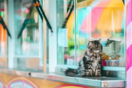 How Climate Change is Impacting Property Values and Investment Decisions