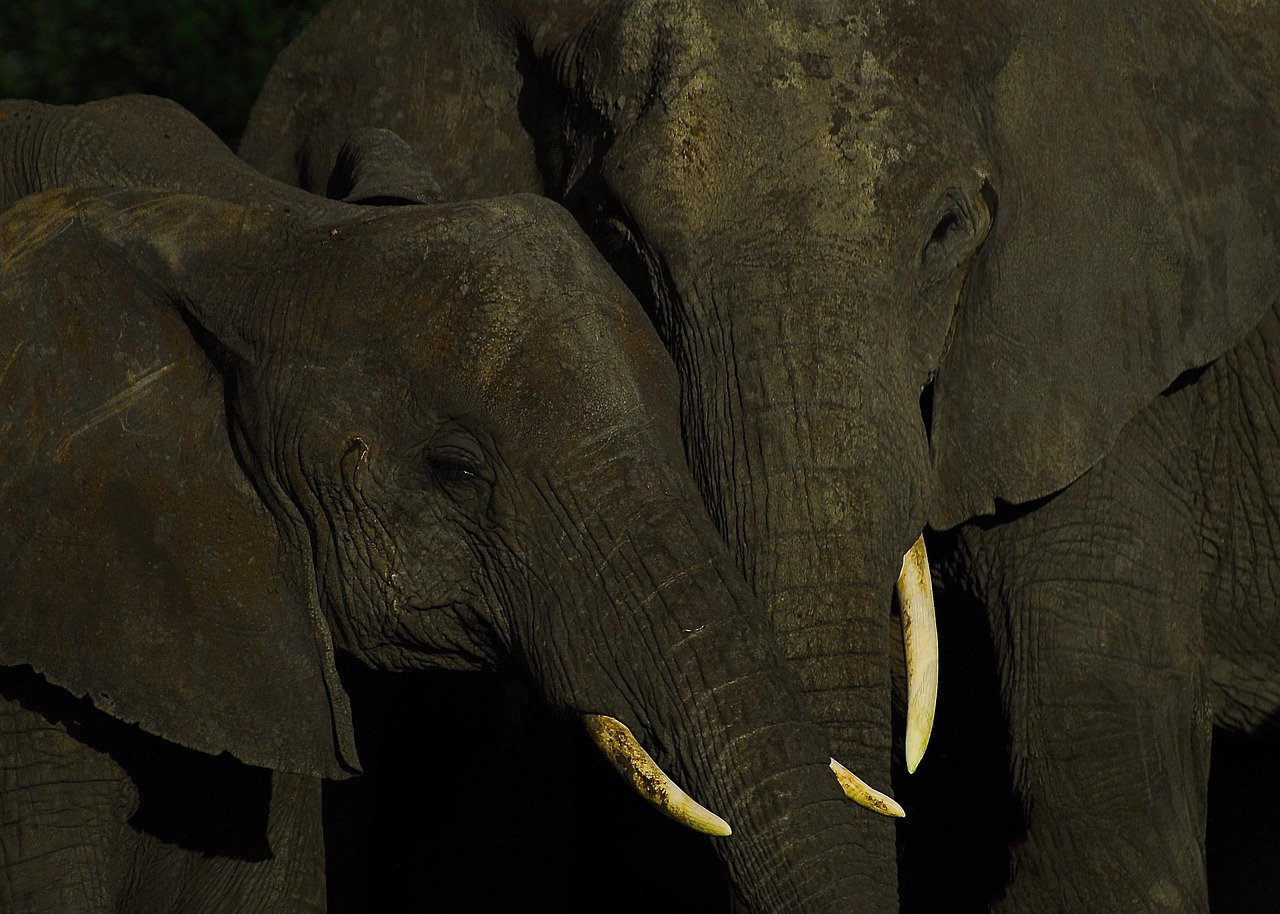 Surging Popularity of Eco-Friendly Island Getaways in America