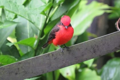 Transformations in Industrial Property: Lessons from Top Manufacturing Hubs