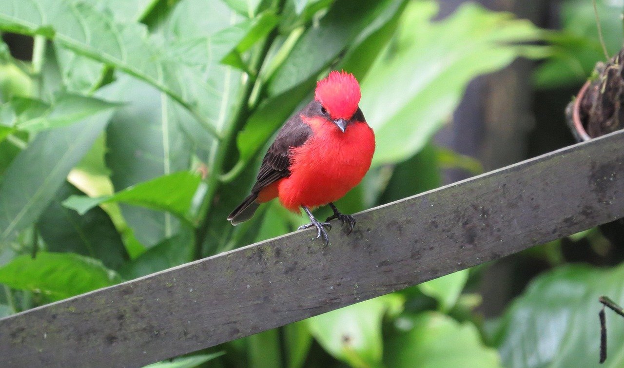 Transformations in Industrial Property: Lessons from Top Manufacturing Hubs