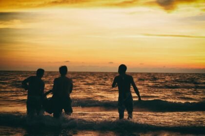 Island Hopping: Recent Property Listings and Lifestyle Highlights