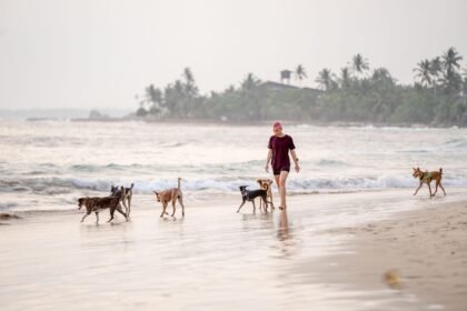 New Incentives for Green Building in Coastal Islands Communities