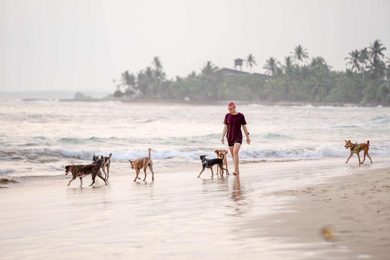 New Incentives for Green Building in Coastal Islands Communities