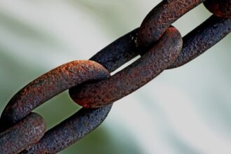 Transportation Strategies for Enhanced Supply Chain Efficiency