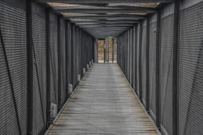 The Rise of Automated Storage Solutions in US Warehouses