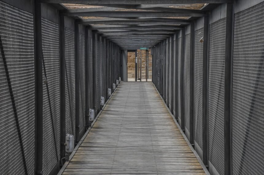 The Rise of Automated Storage Solutions in US Warehouses