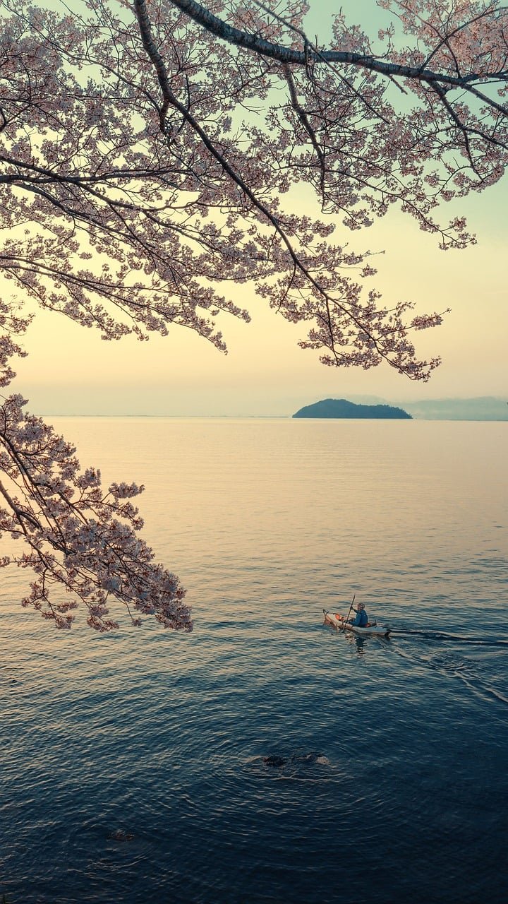 Spotlight on Secluded Islands with Pristine Real Estate Opportunities