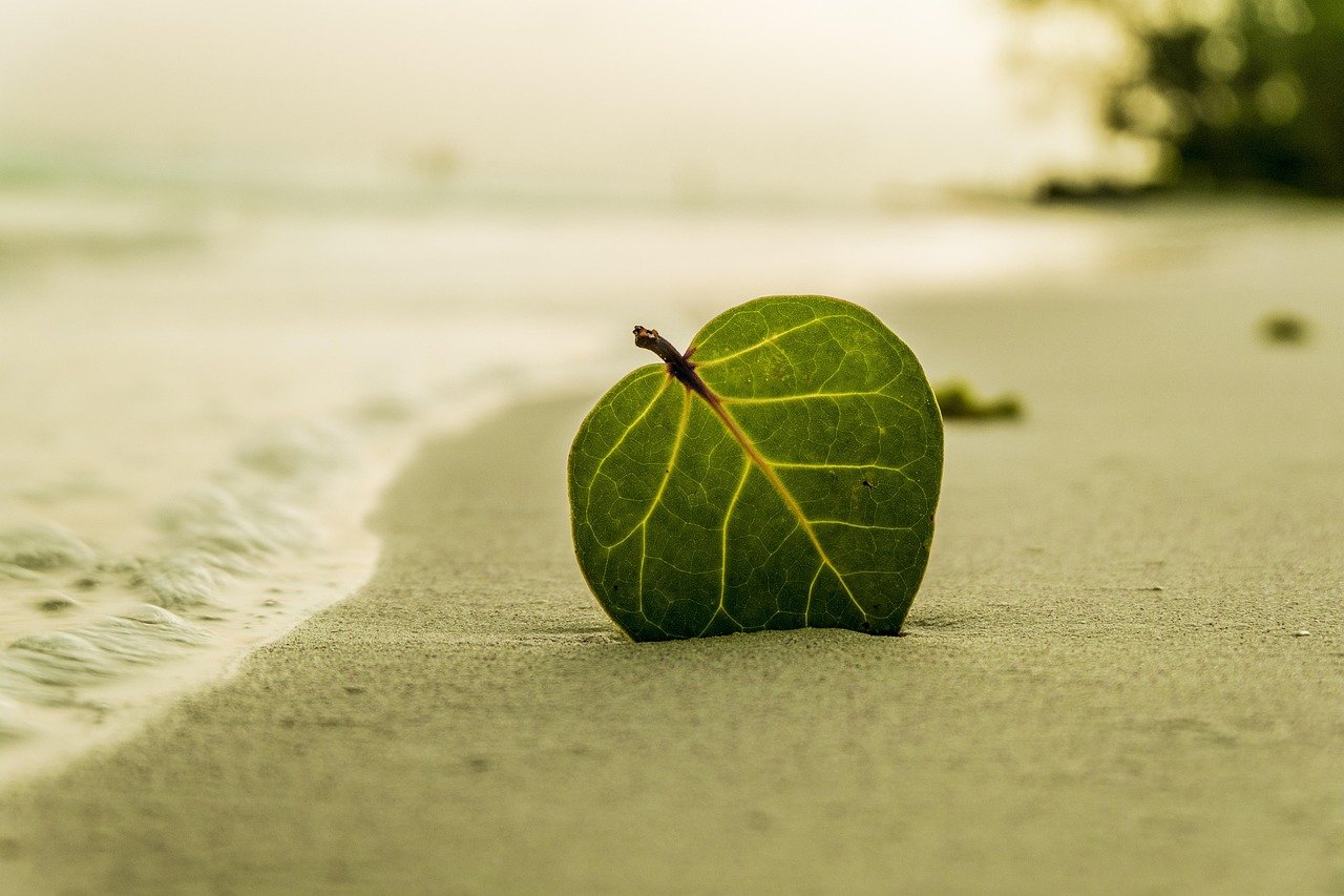 The Future of Island Living: Construction Projects Transforming Real Estate Markets
