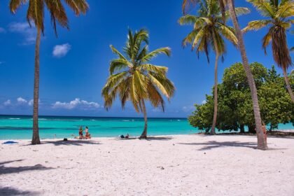 Innovations in Waste Management for Island Communities