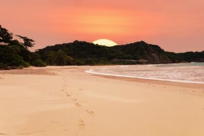 Investing in Puerto Rico: A Guide to Current Market Opportunities