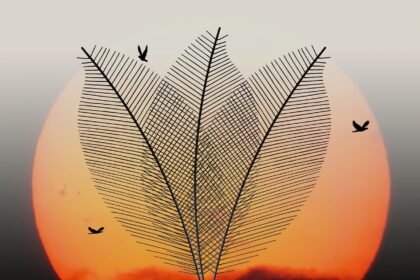 Island Innovations: Pioneering Sustainable Real Estate in America