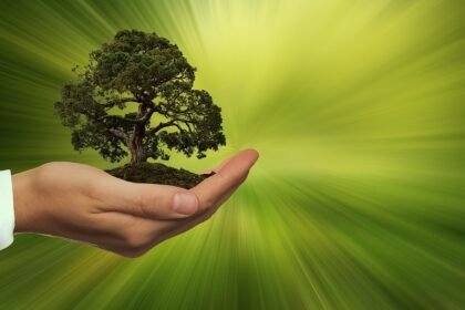 The Future of Island Living: Integrating Green Design in Eco Homes