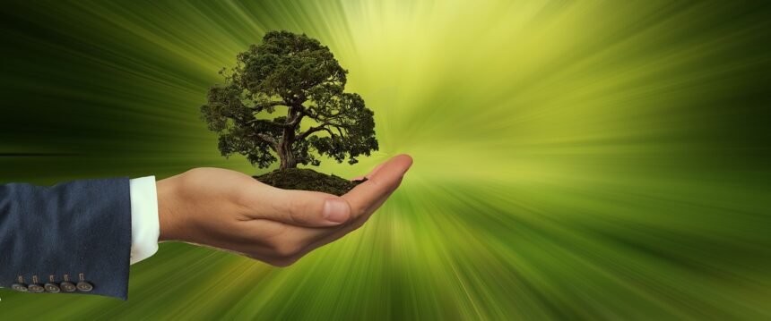 The Future of Island Living: Integrating Green Design in Eco Homes