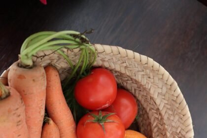 Embracing Nature: The Benefits of Sustainable Living on U.S. Islands