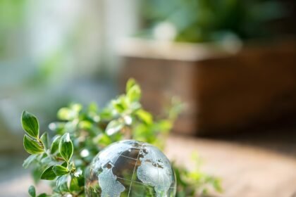 The Rise of Eco-Conscious Developments on U.S. Islands