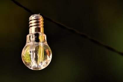 Communing with Nature: The Allure of Eco Villages on U.S. Islands