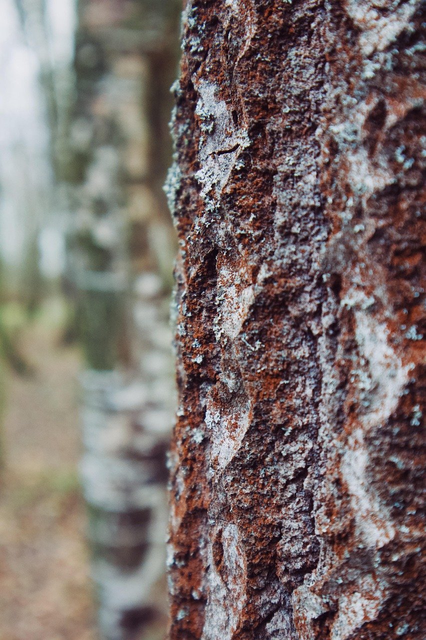 The Impact of Climate Change on Eco-Friendly Building Practices.