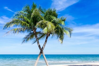 Island Living: Exploring Eco-Friendly Communities in the U.S.