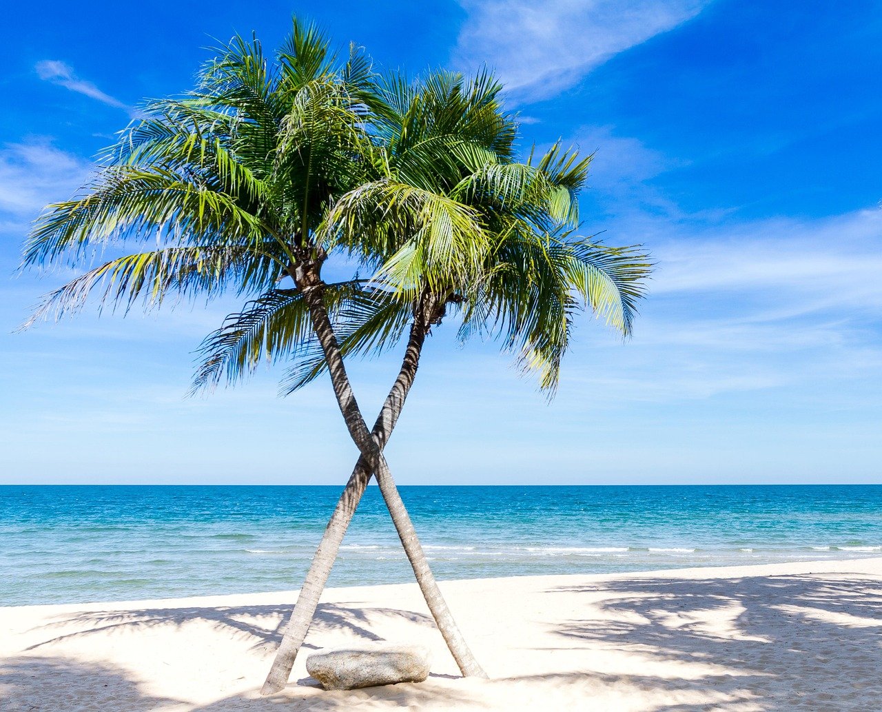 Island Living: Exploring Eco-Friendly Communities in the U.S.